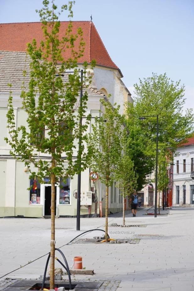 Casa Thaja Centru Appartement Turda Buitenkant foto